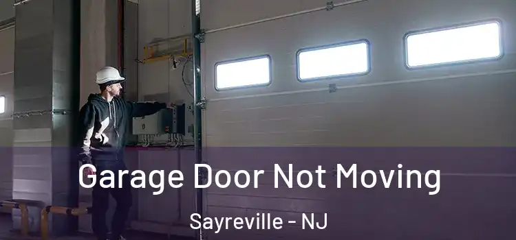  Garage Door Not Moving Sayreville - NJ